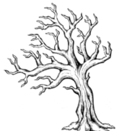 woodwork-design